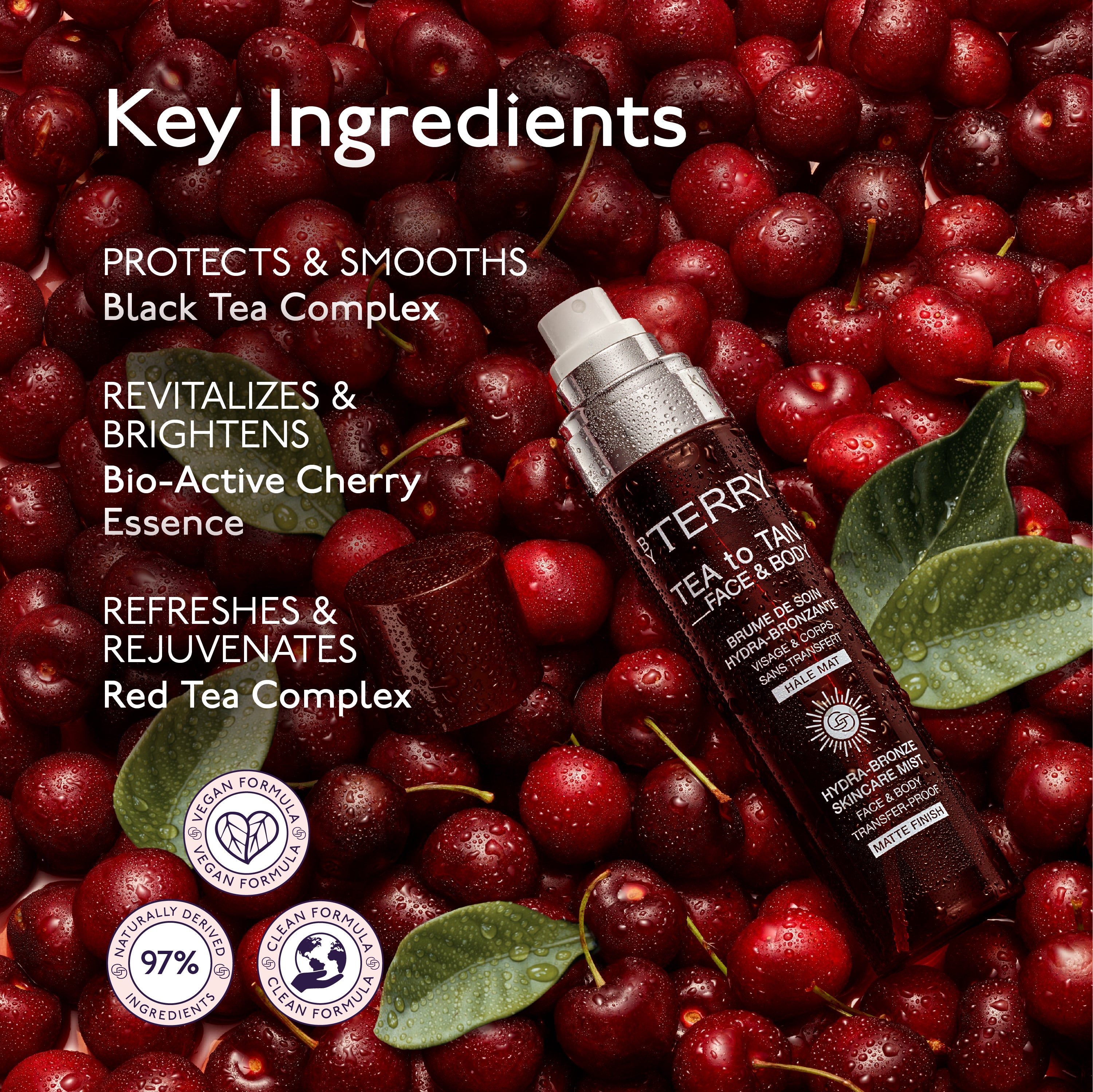 TEA to TAN Face & Body I Bronzing Mist I BY TERRY